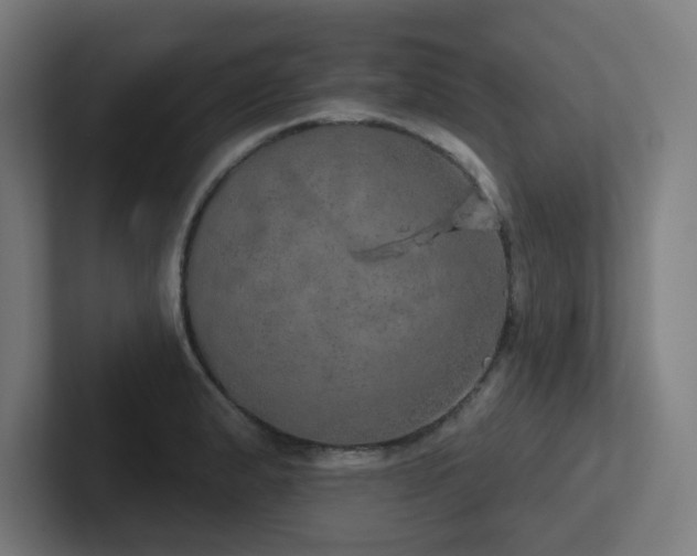 X0000102771183200808181123