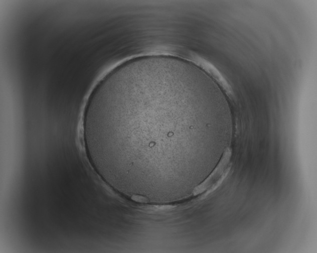 X0000102771184200808181123