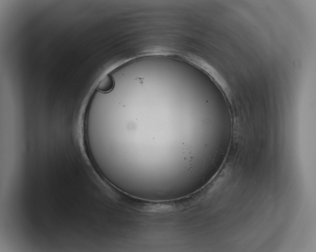 X0000102771187200808181123