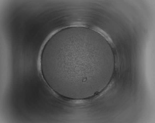 X0000102771188200808181123