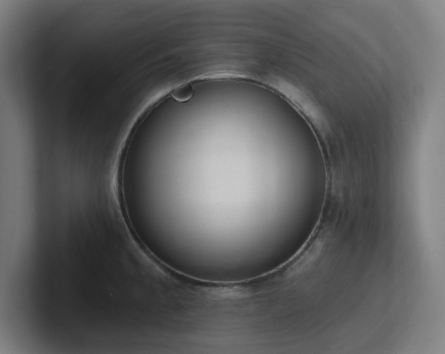 X0000102771189200808181123