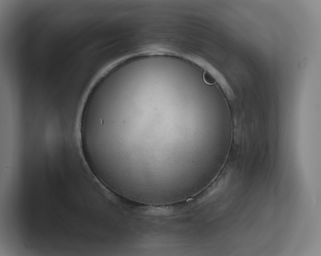 X0000102771191200808181123