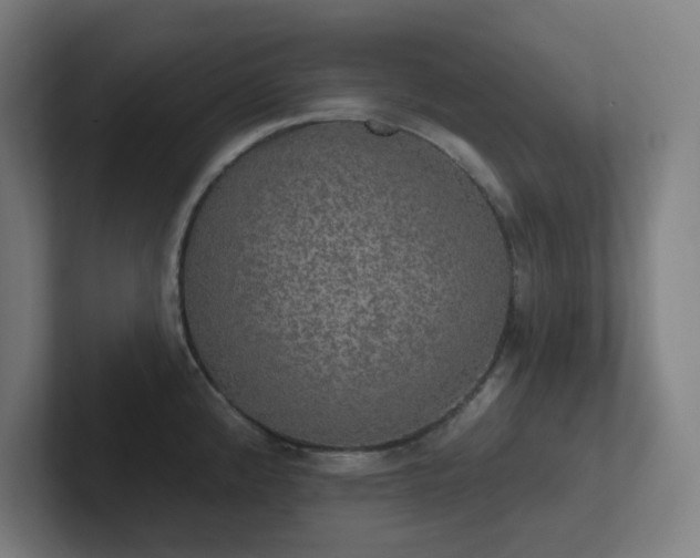 X0000102771192200808181123