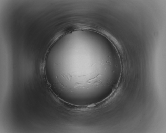 X0000102771193200808181123