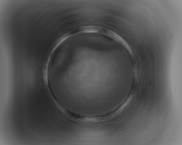 X0000102771194200808181123