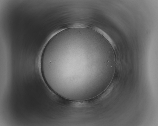 X0000102771195200808181123