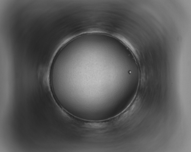 X0000102771197200808181123