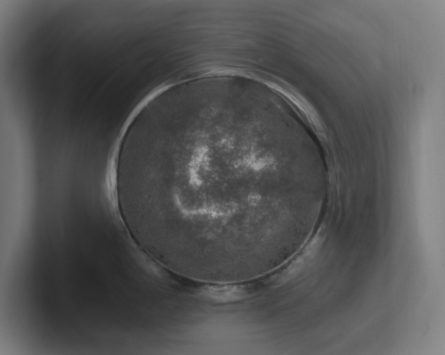 X0000102771198200808181123