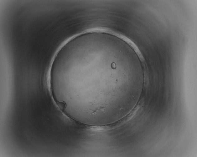 X0000102771199200808181123