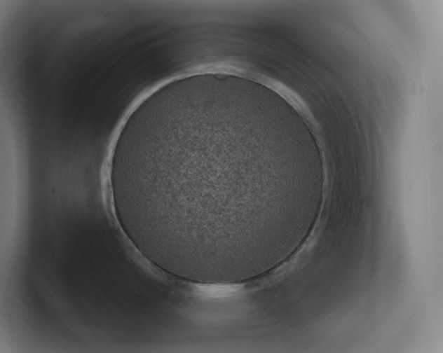 X0000102771200200808181123