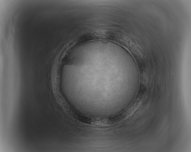 X0000102771201200808181122