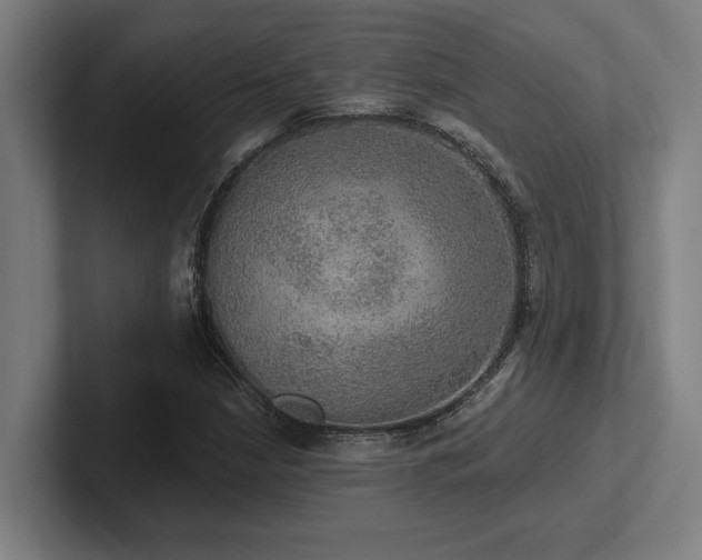 X0000102771210200808181122