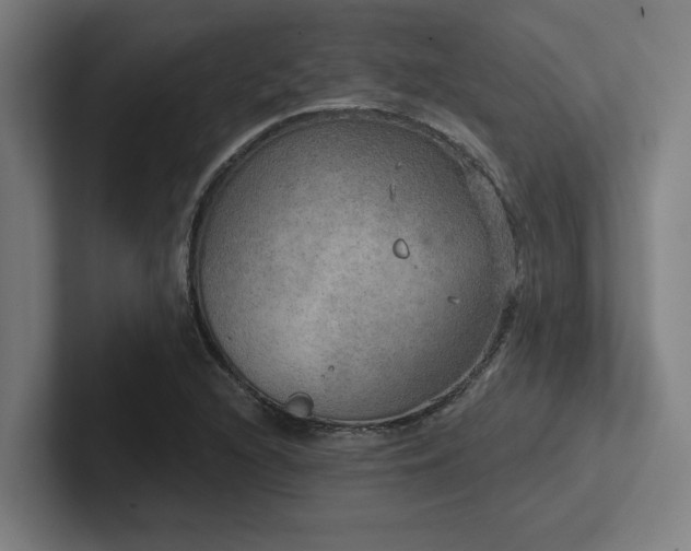 X0000102771216200808181122