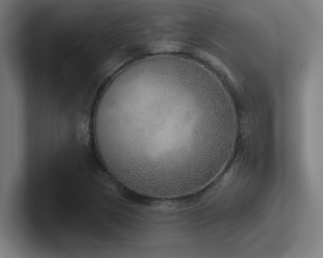 X0000102771217200808181122