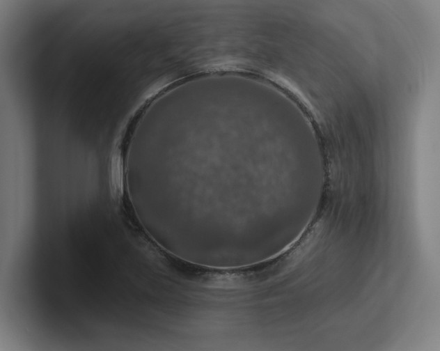 X0000102771219200808181122