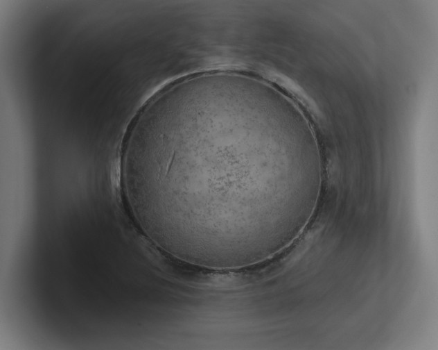 X0000102771220200808181122