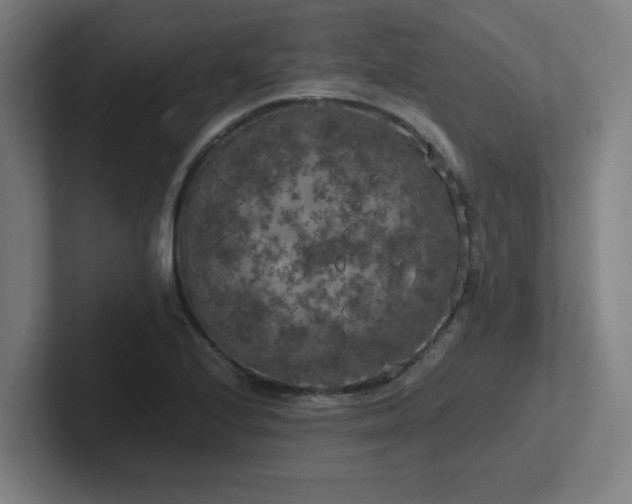X0000102771224200808181122
