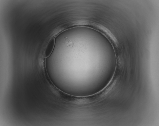 X0000102771225200808181122