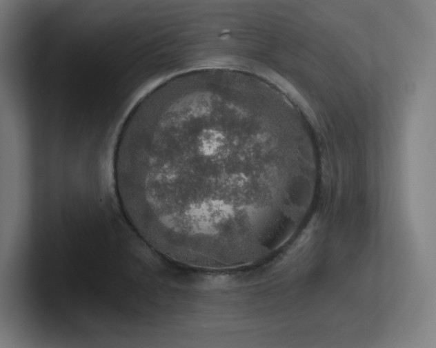 X0000102771230200808181123