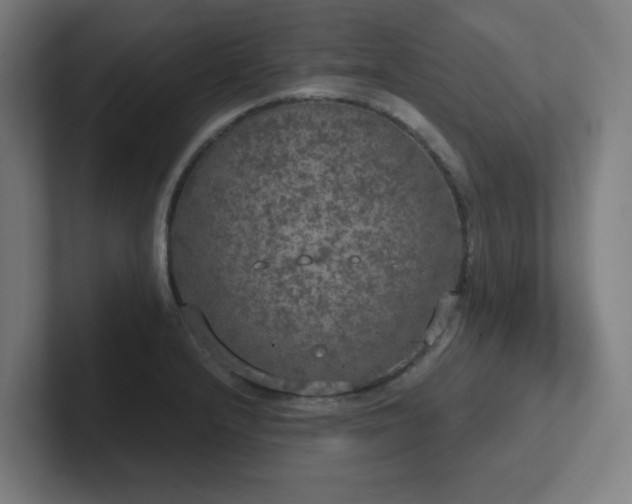 X0000102771232200808181123