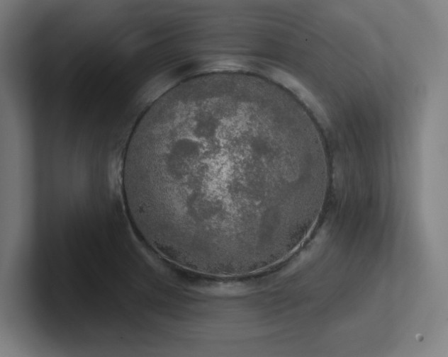 X0000102771233200808181123