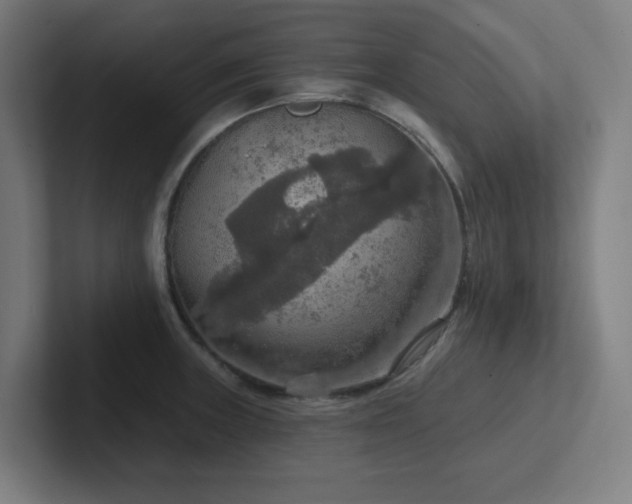 X0000102771235200808181123