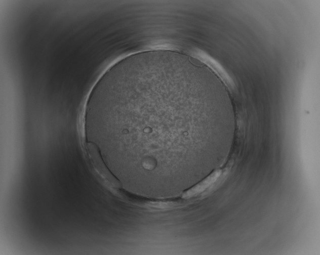 X0000102771236200808181123