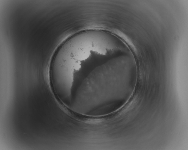 X0000102771237200808181123