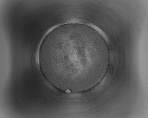 X0000102771238200808181123