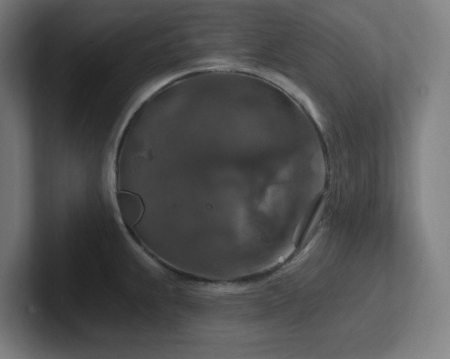 X0000102771239200808181123