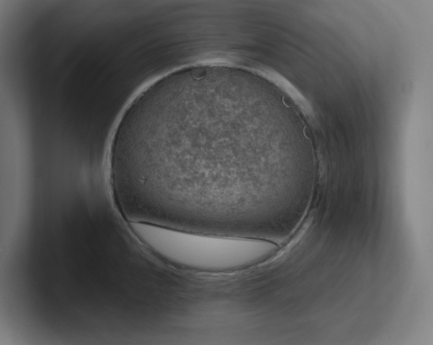 X0000102771240200808181123