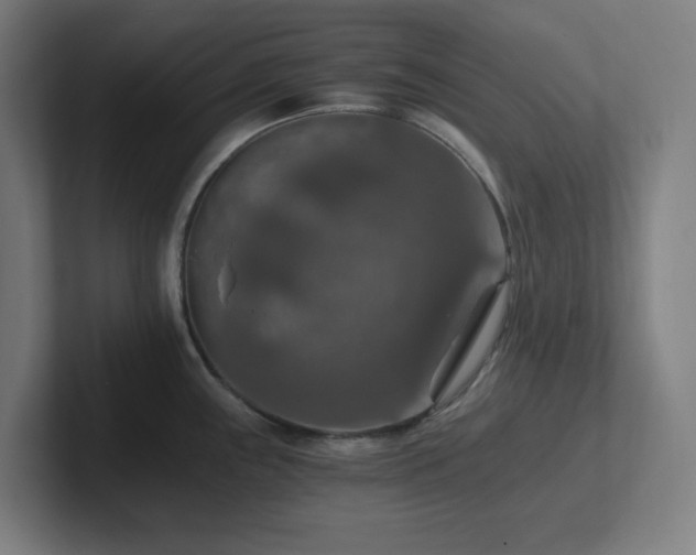 X0000102771243200808181123