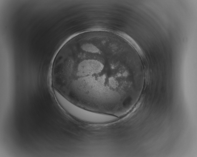 X0000102771244200808181123