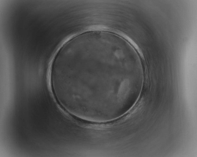 X0000102771245200808181123