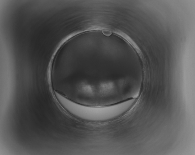 X0000102771246200808181123