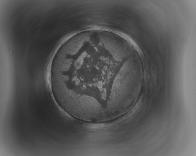 X0000102771247200808181123