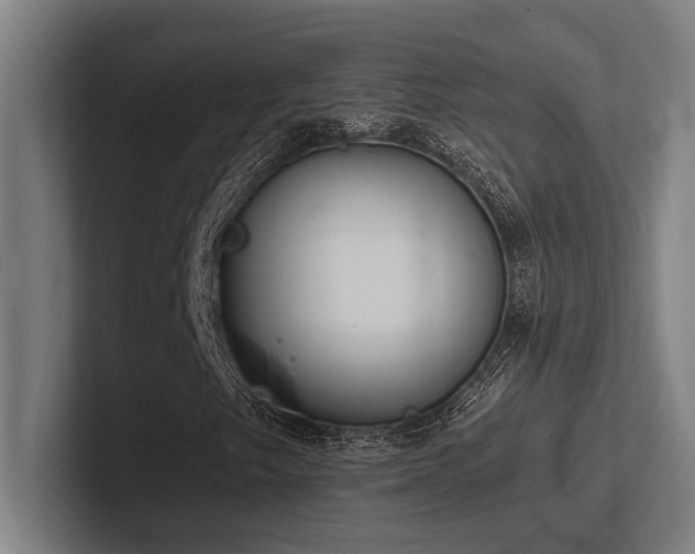 X0000102771249200808181122