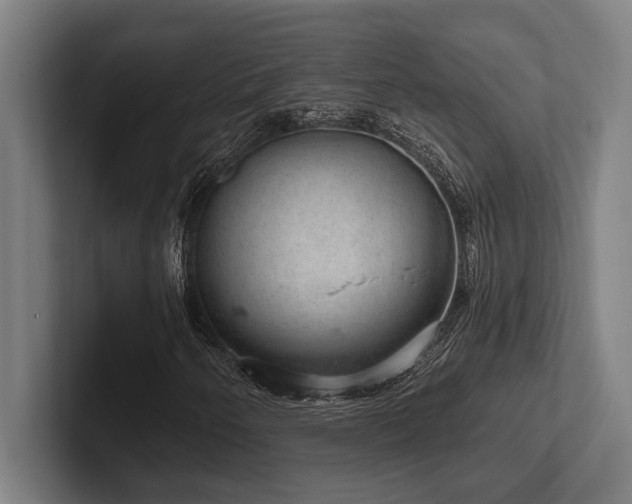 X0000102771250200808181122
