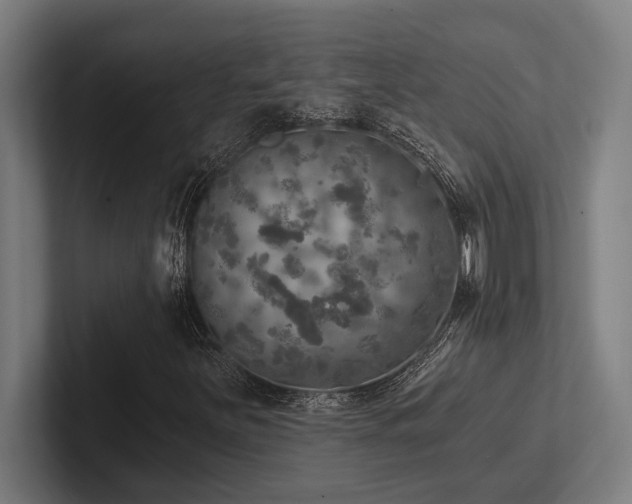 X0000102771251200808181122