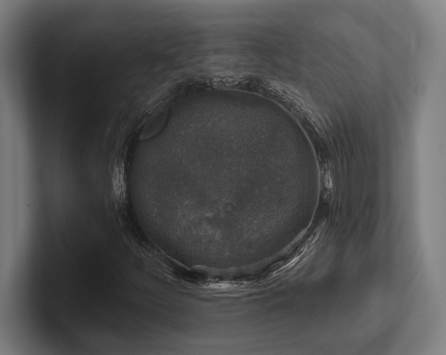 X0000102771252200808181122