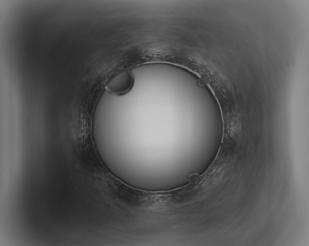 X0000102771253200808181122