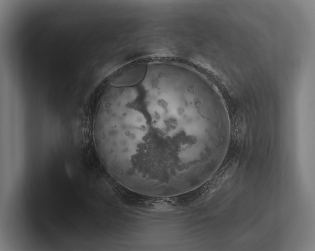 X0000102771255200808181122