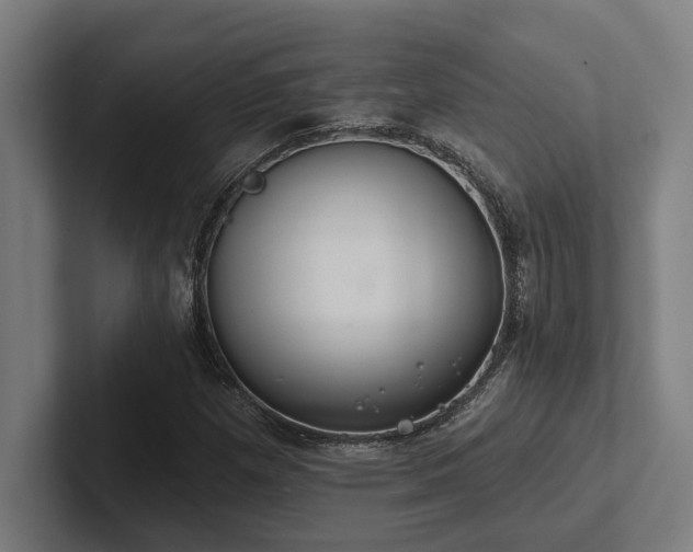 X0000102771257200808181122