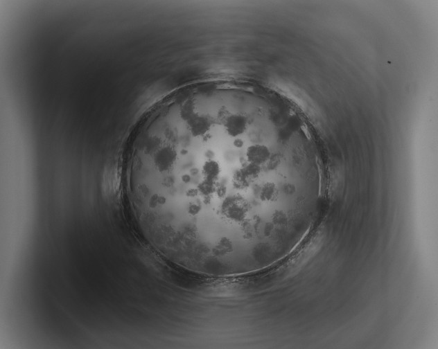 X0000102771259200808181122
