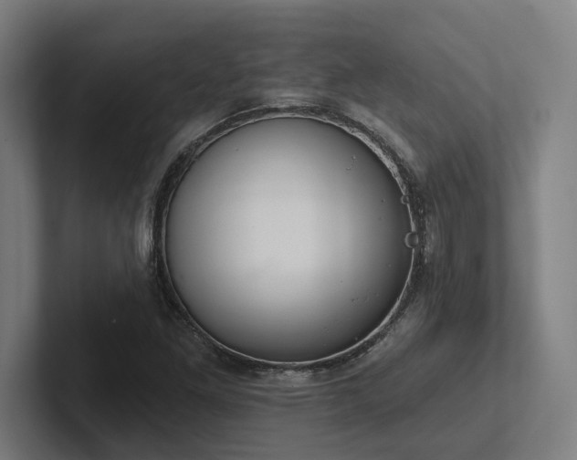 X0000102771261200808181122