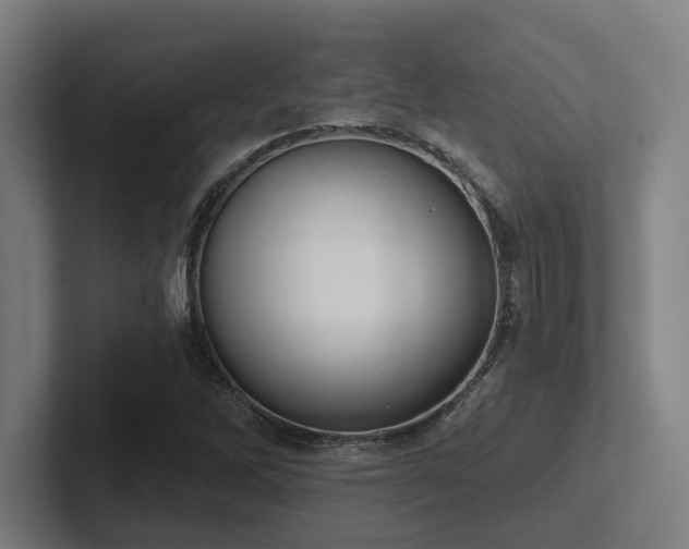 X0000102771262200808181122
