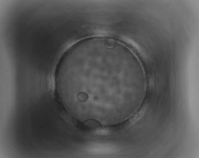 X0000102771267200808181122