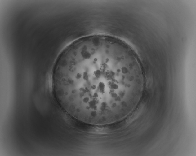 X0000102771271200808181122