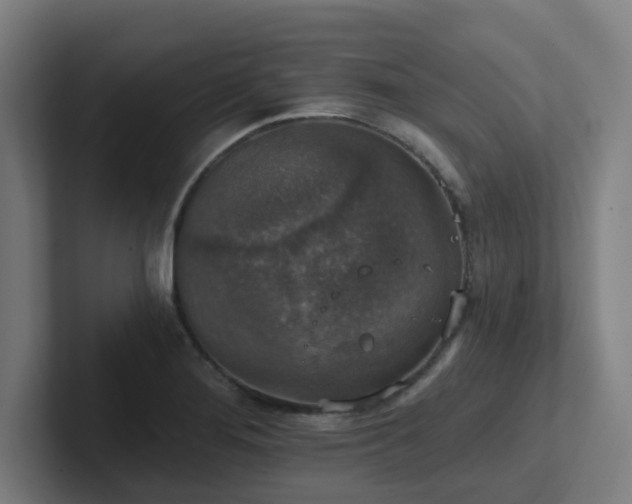 X0000102771276200808181122