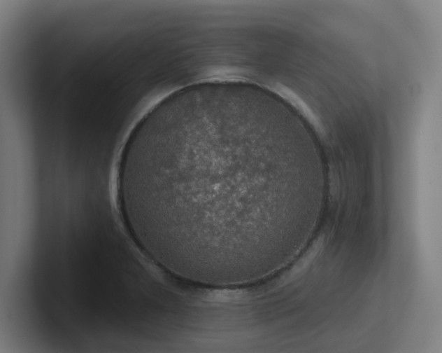 X0000102771277200808181122